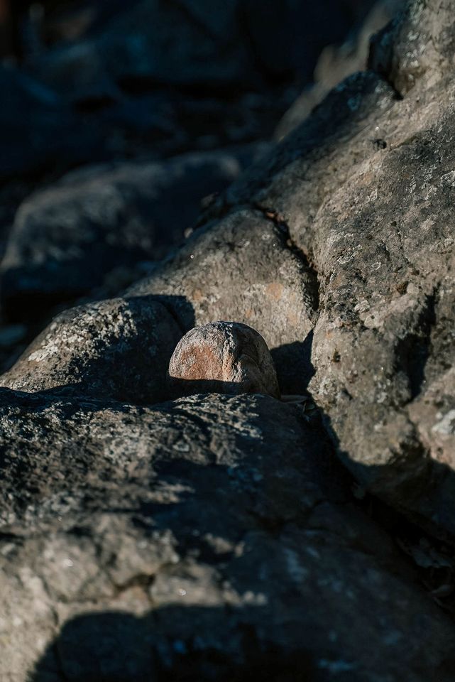 Modern-Rustic Off-Grid Retreat with Mountain Views & Serene Nature Escape in Pauma Valley, California