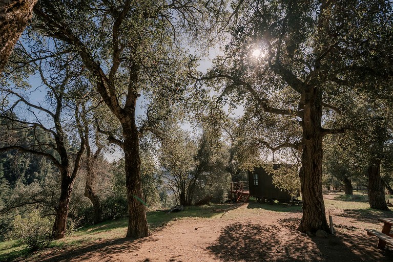 Cabins (United States of America, Pauma Valley, California)