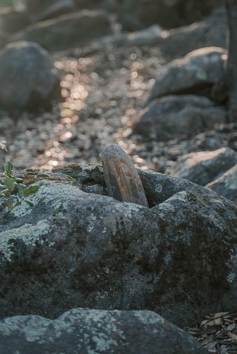 Cabins (United States of America, Pauma Valley, California)