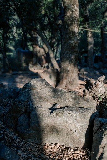 Cabins (United States of America, Pauma Valley, California)