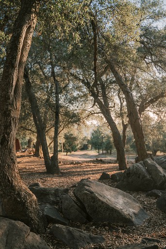 Cabins (United States of America, Pauma Valley, California)