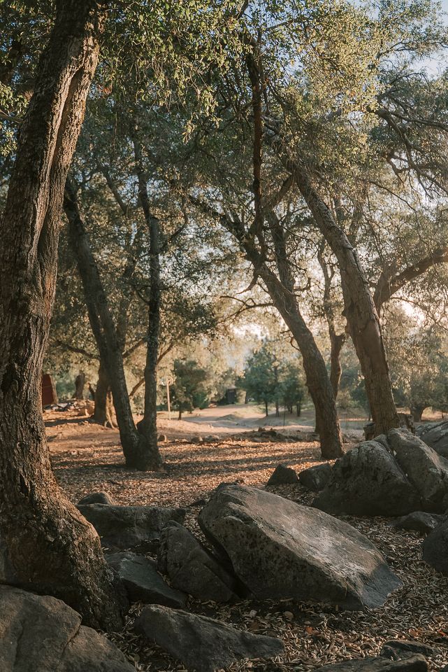 Modern-Rustic Off-Grid Retreat with Mountain Views & Serene Nature Escape in Pauma Valley, California