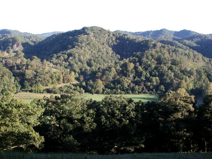 Cabins (Abingdon, Virginia, United States)