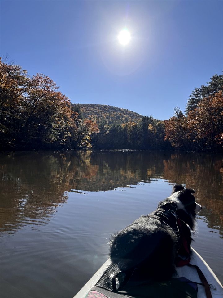 Pet-friendly Riverfront Cottage Amazing to Immerse into the Wildlife in Hiram, Maine