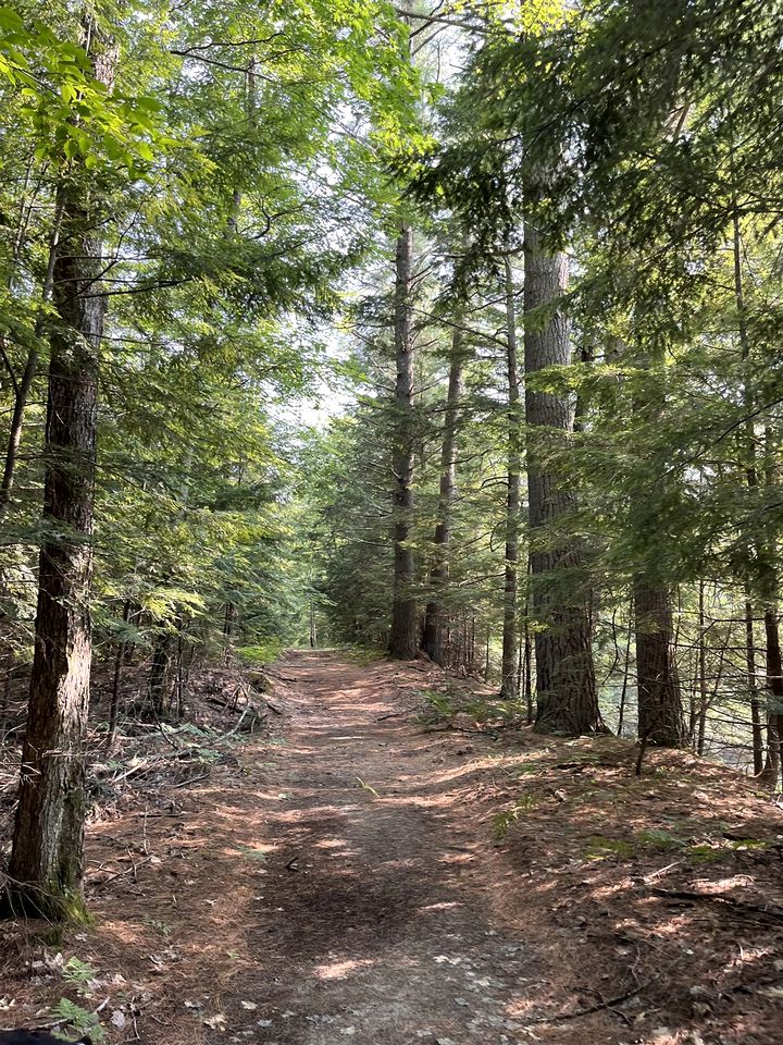 Pet-friendly Riverfront Cottage Amazing to Immerse into the Wildlife in Hiram, Maine