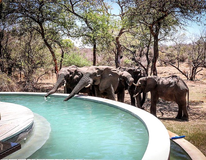 Nature Lodges (Hoedspruit, Limpopo, South Africa)