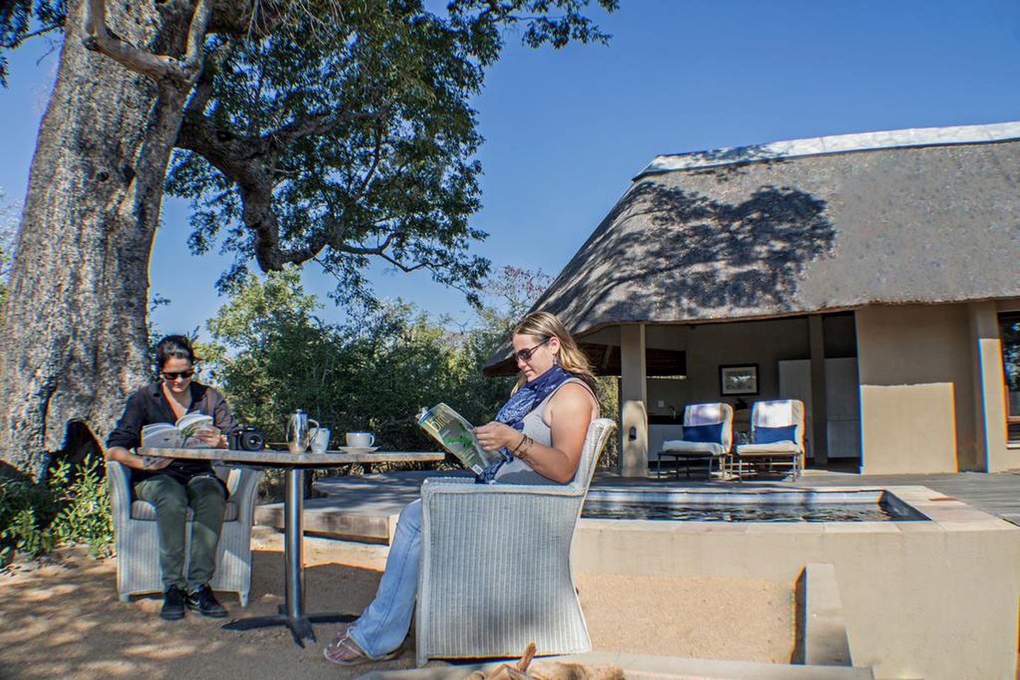 Luxury Safari Getaway in Thornybush Private Nature Reserve near Hoedspruit, South Africa