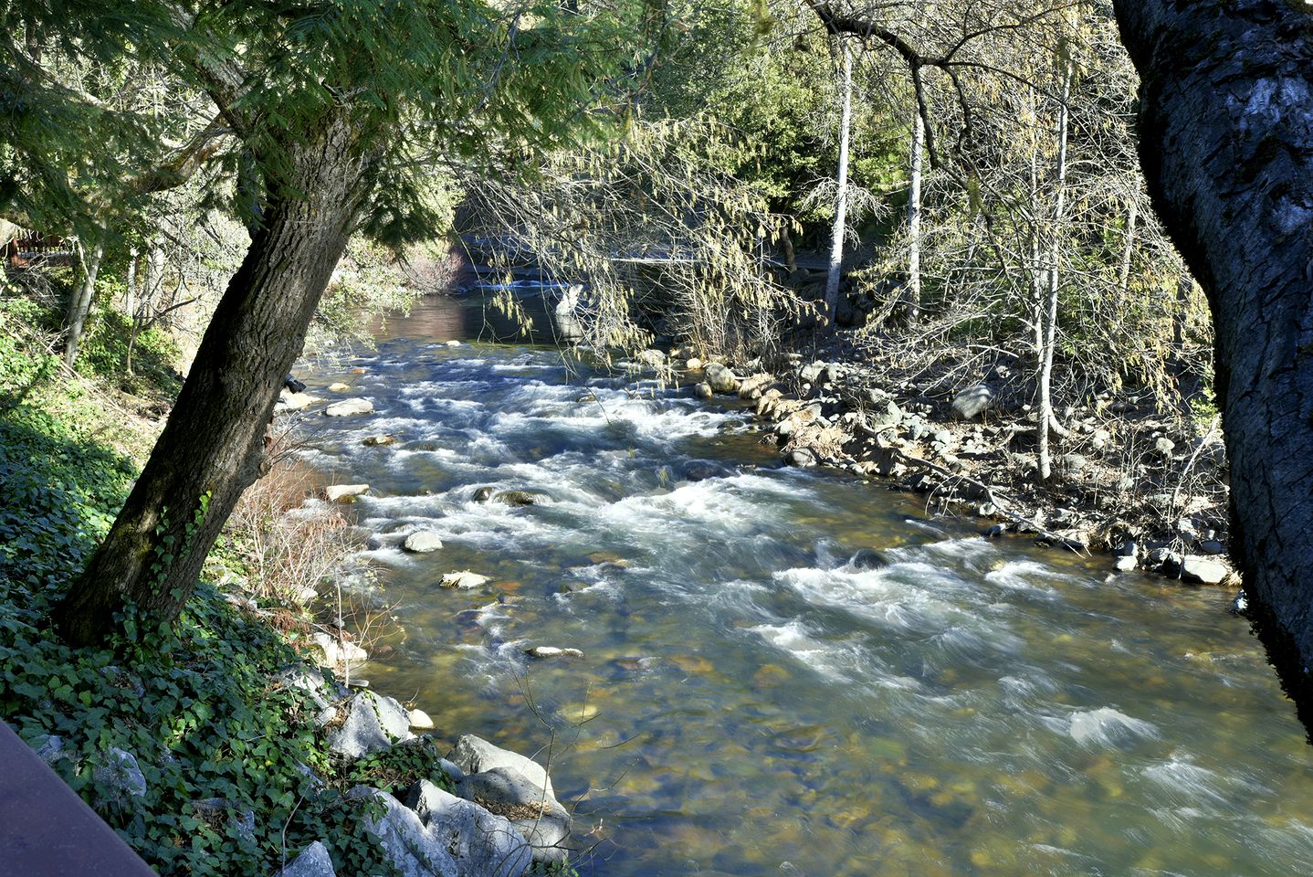 Gorgeous Cabin Close to Lake in Dunsmuir, California