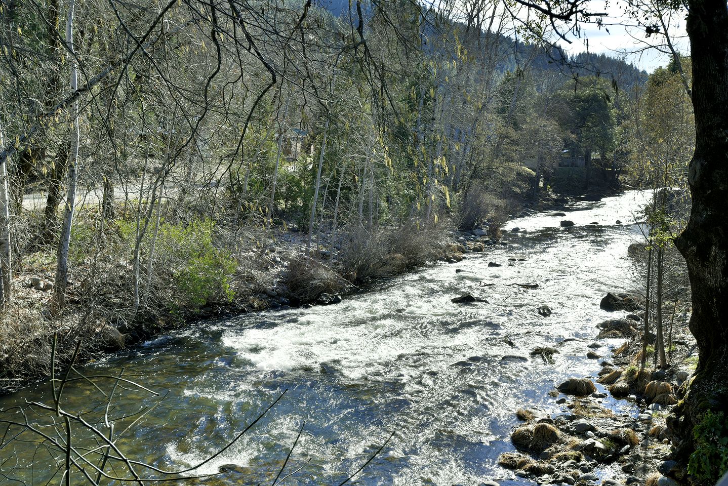 Gorgeous Cabin Close to Lake in Dunsmuir, California