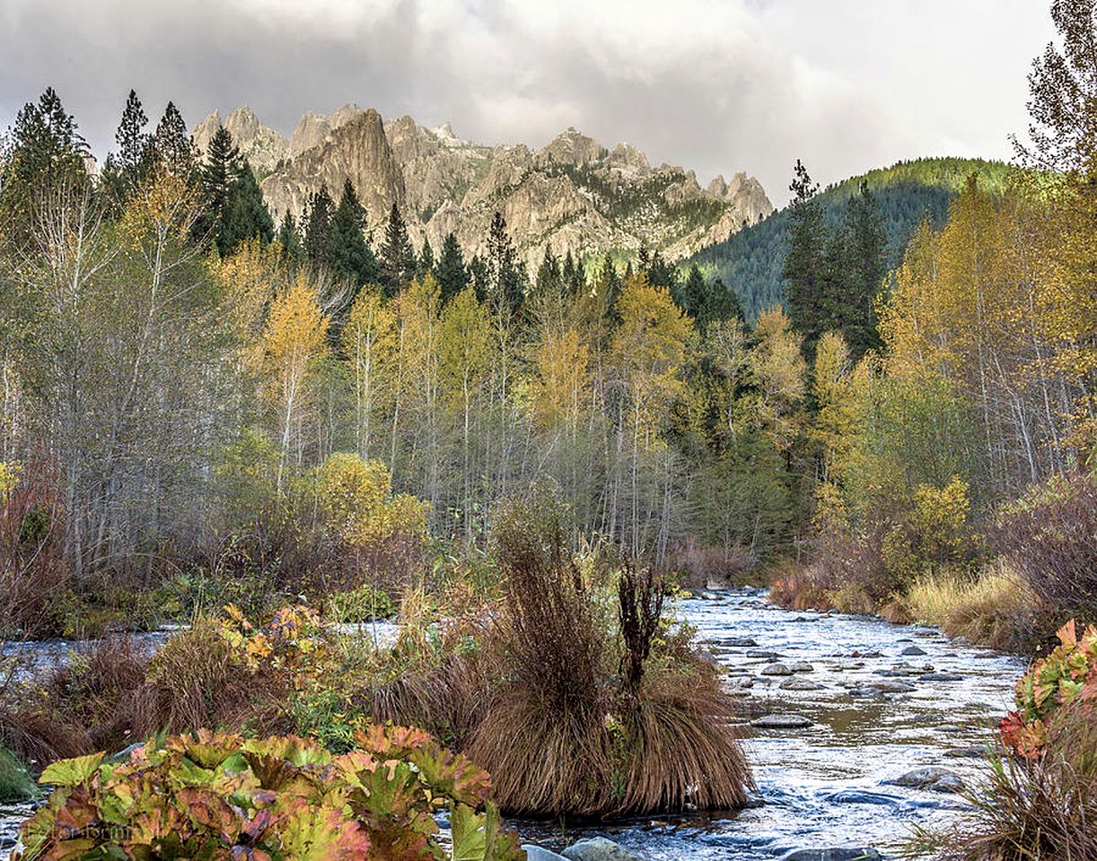 Gorgeous Cabin Close to Lake in Dunsmuir, California