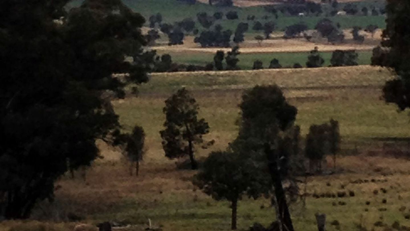 Gorgeous Cottage Getaway with Amazing Views in Manildra, New South Wales