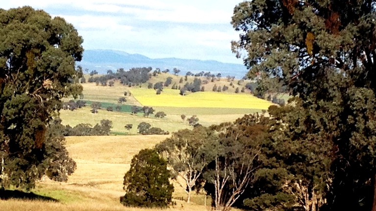 Vacation Rentals (Manildra, New South Wales, Australia)