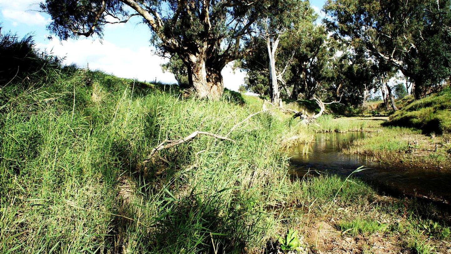 Gorgeous Cottage Getaway with Amazing Views in Manildra, New South Wales