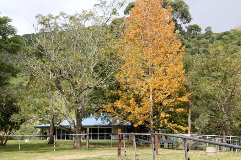 Vacation Rentals (Caffreys Flat, New South Wales, Australia)