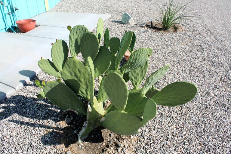 Cabins (United States of America, Big River, California)