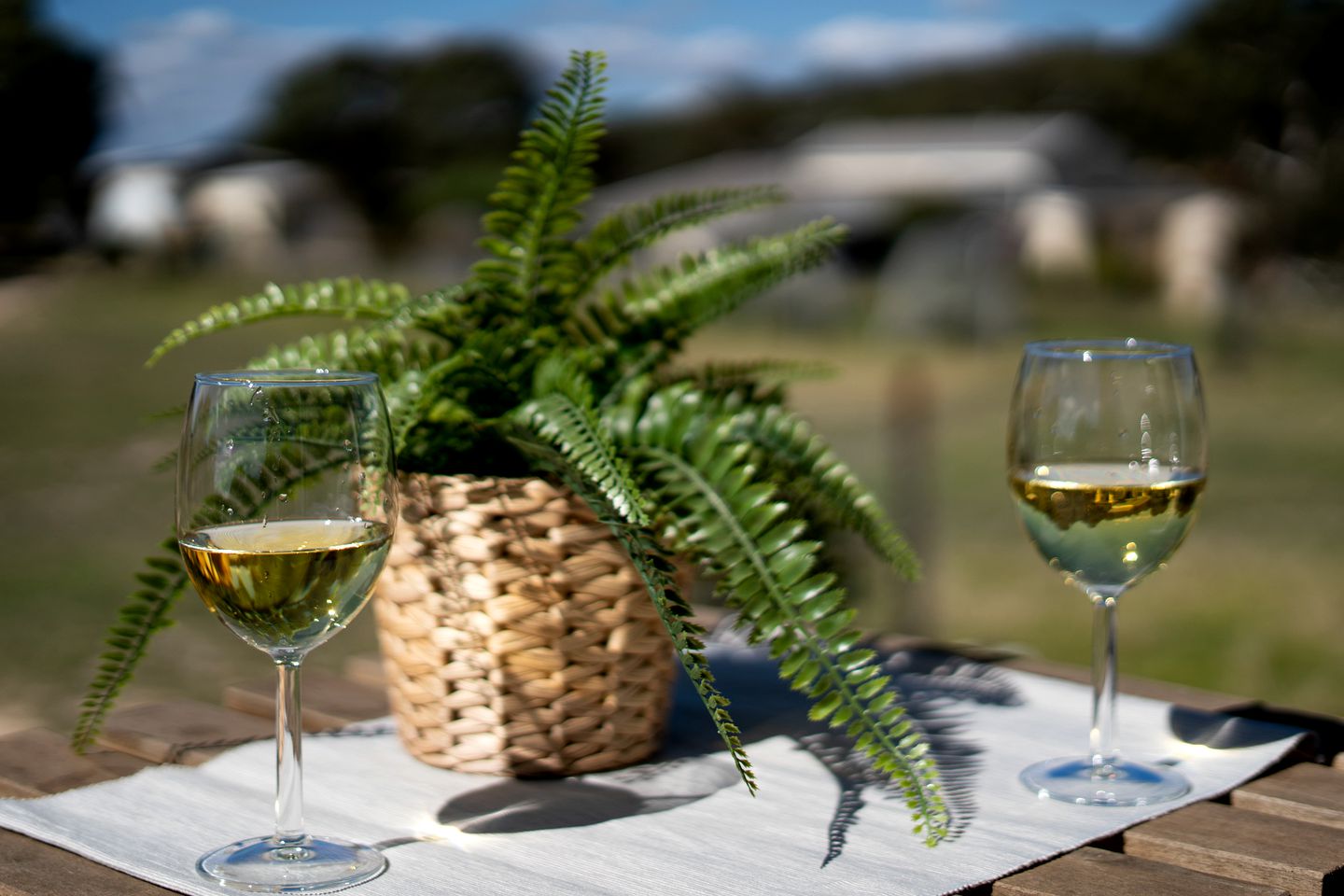 Peaceful Tiny House Rental on a Horse Farm for Glamping near Canberra