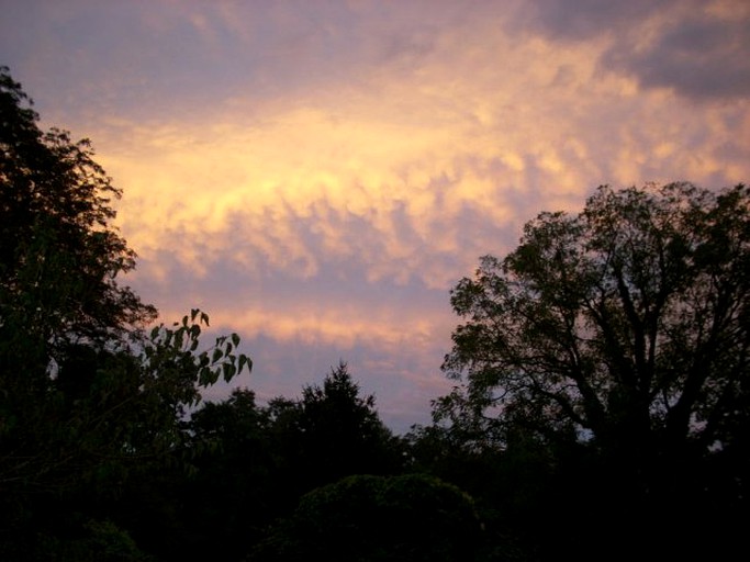 Nature Lodges (Mt Vernon, Ohio, United States)