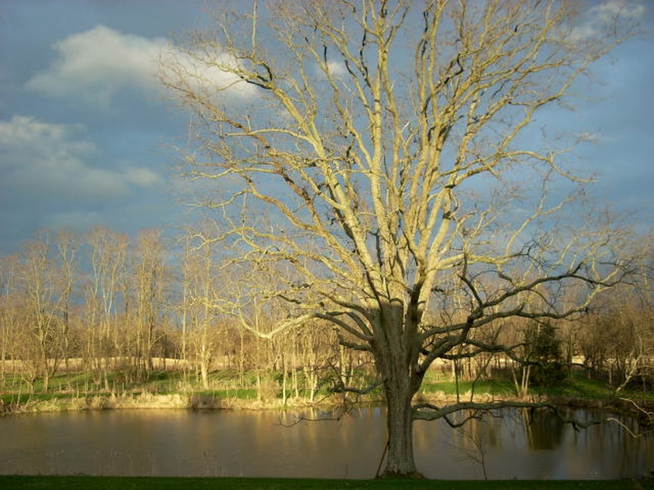 Suite Rental Ideal for Writer's Retreat with Lovely Views near Mount Vernon, Ohio