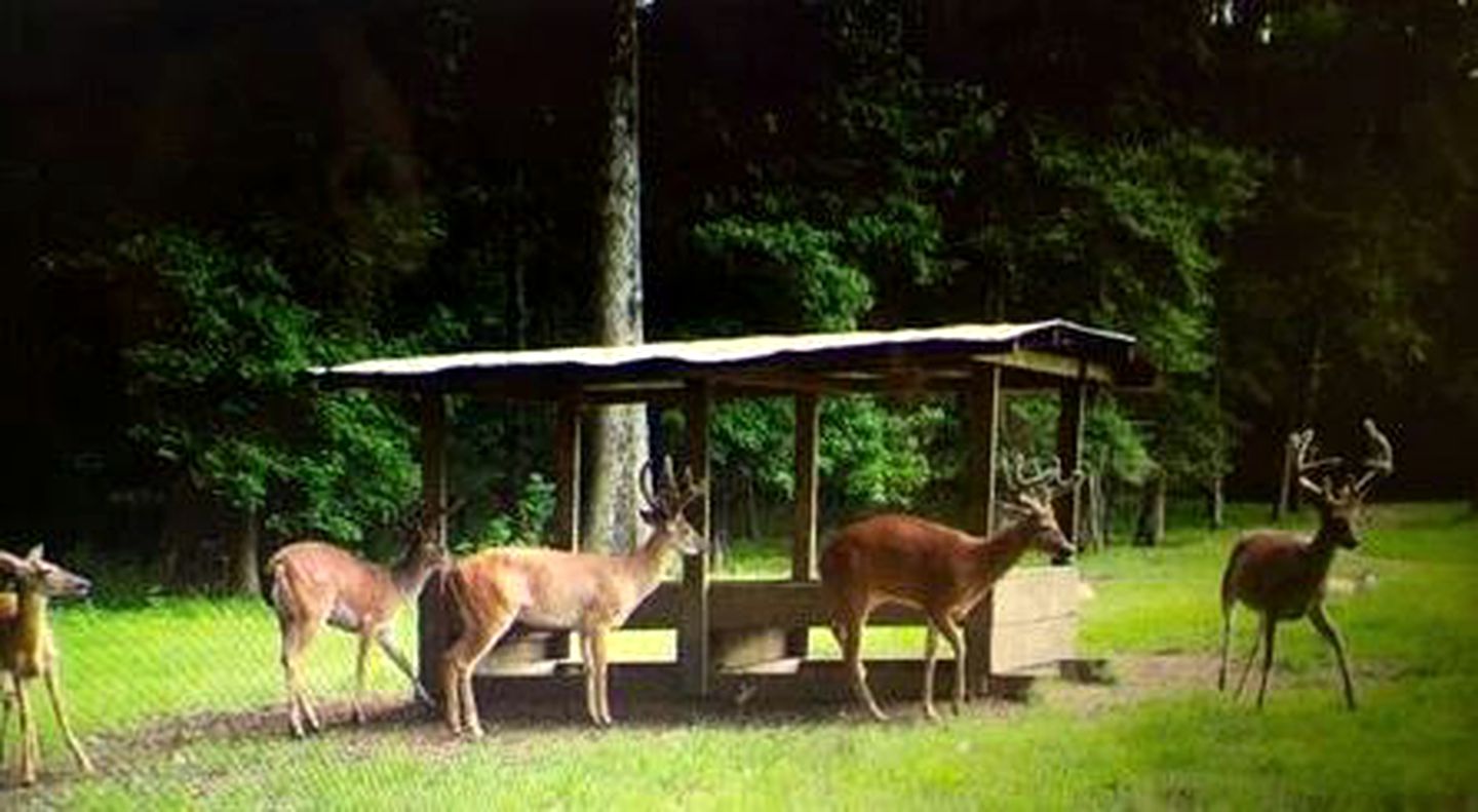 Spacious Vacation Rental with Stunning Views near Woodville, Mississippi