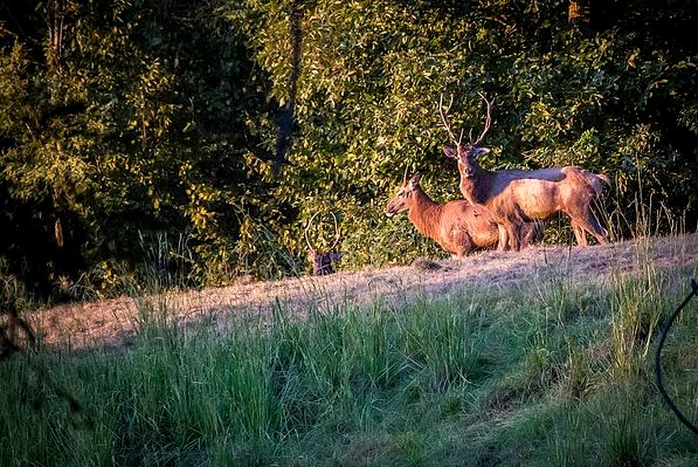 Spacious Vacation Rental with Stunning Views near Woodville, Mississippi