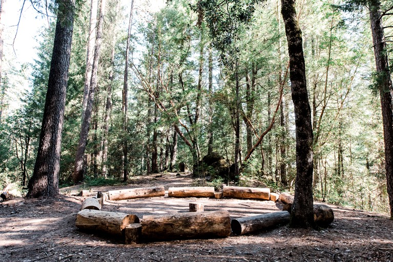 Tree Houses (Cobb, California, United States)