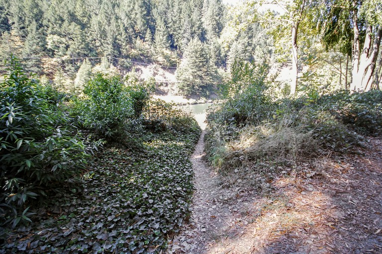 Cottages (United States of America, Guerneville, California)