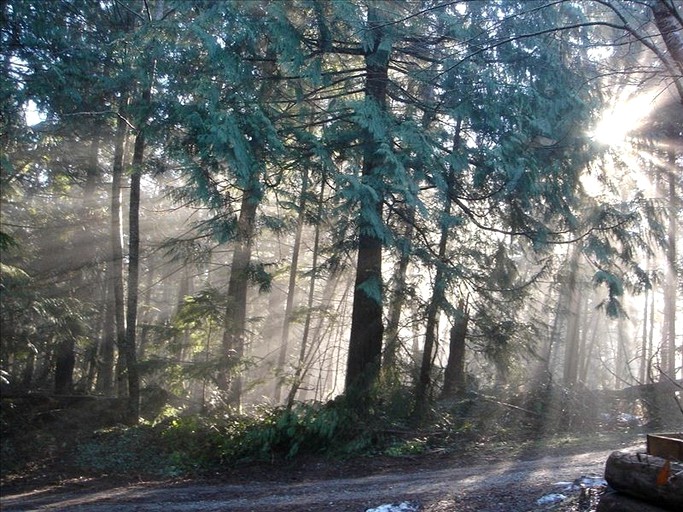 Cabins (Sechelt, British Columbia, Canada)