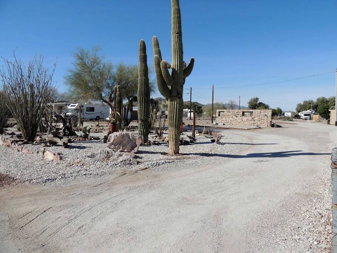 Caravans (Joshua Tree, California, United States)