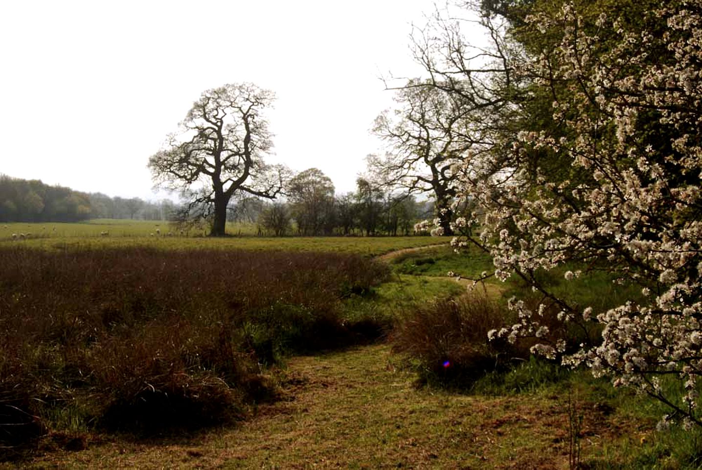 Unique Glamping Getaway in the Shropshire Countryside, England