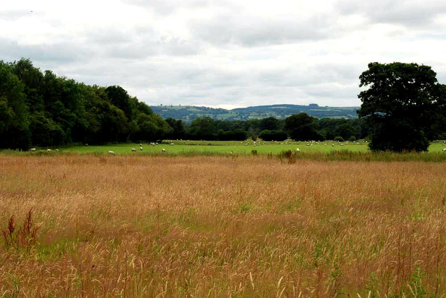 Unique Glamping Getaway in the Shropshire Countryside, England