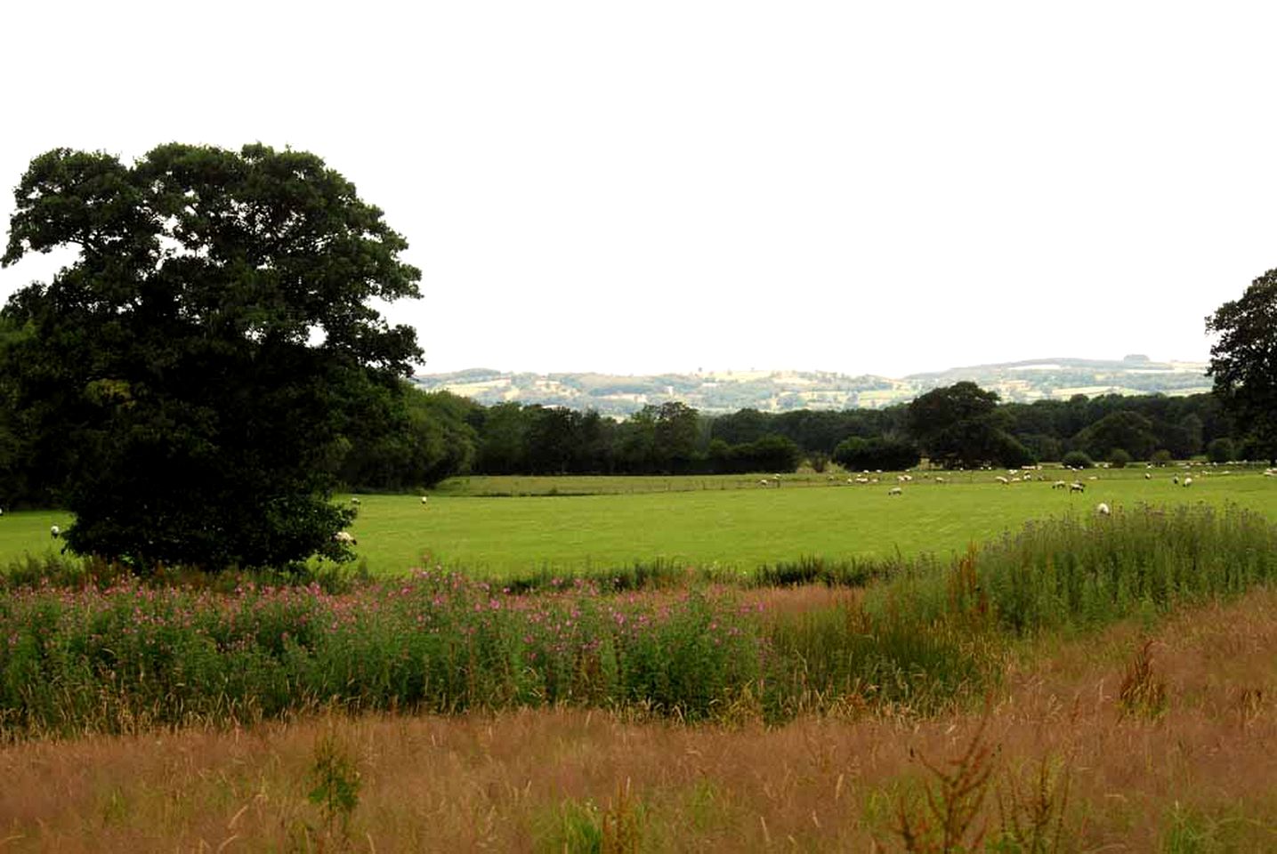 Unique Glamping Getaway in the Shropshire Countryside, England