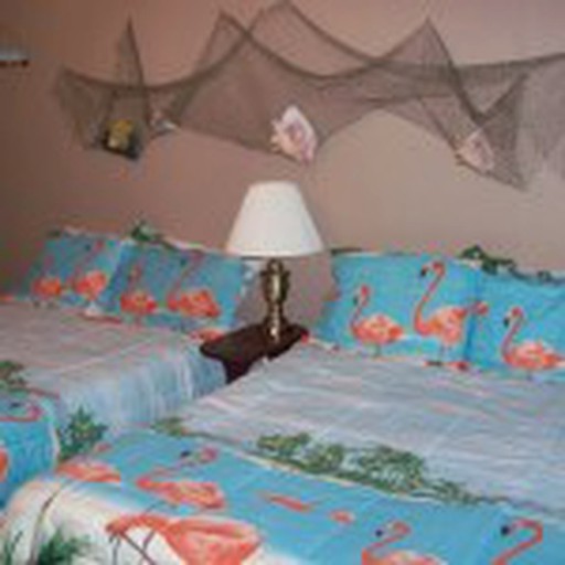 Nature Lodges (Canton, Texas, United States)