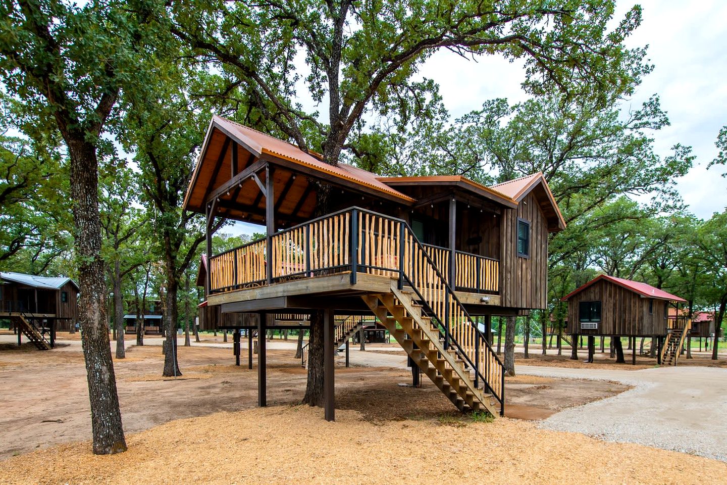 Tree Houses (United States of America, Elm Mott, Texas)