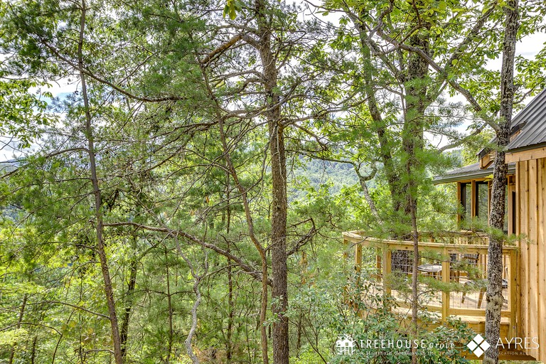 Tree Houses (United States of America, Gatlinburg, Tennessee)