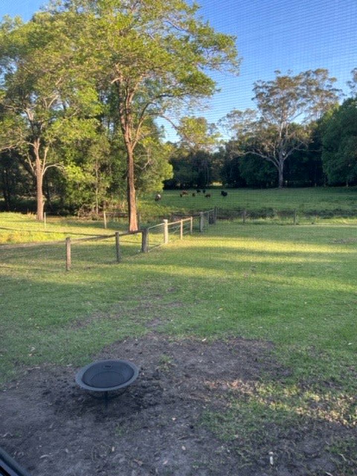 Sunshine Coast Glamping in a Tiny House for a Nature Escape in Queensland