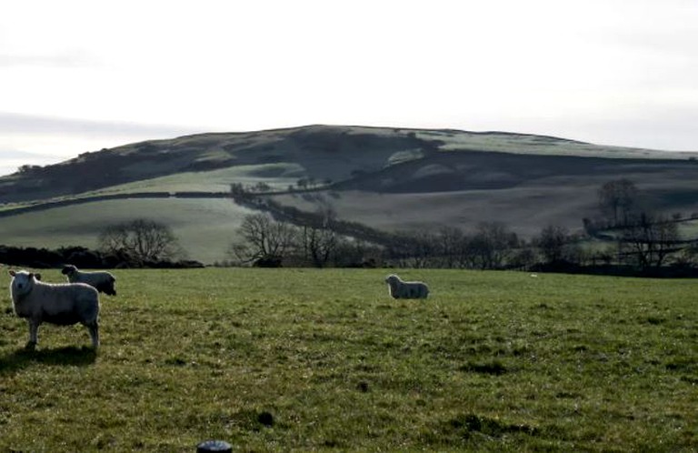 Cottages (Dundrennan, Scotland, United Kingdom)