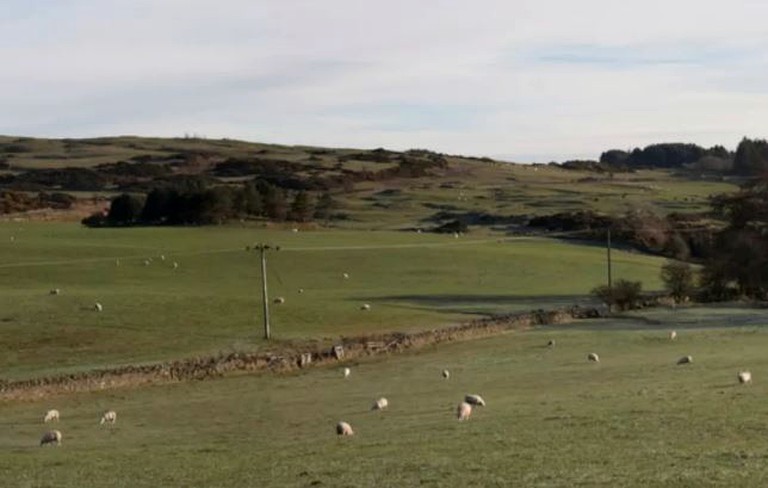 Cottages (Dundrennan, Scotland, United Kingdom)