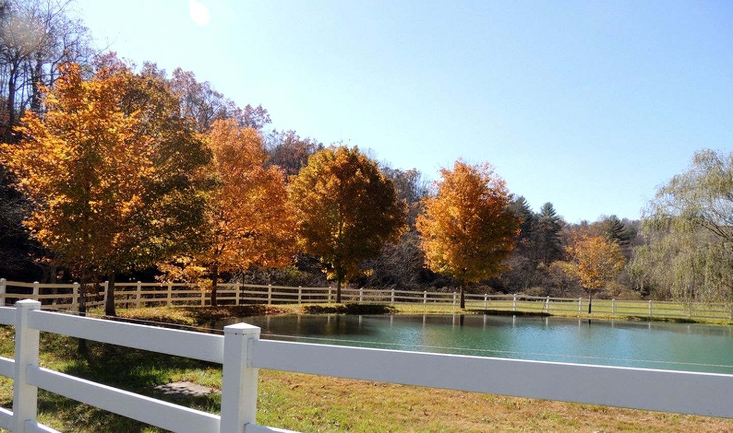 Secluded Cottage Getaway on an Authentic Horse Farm near Hillsville, Virginia