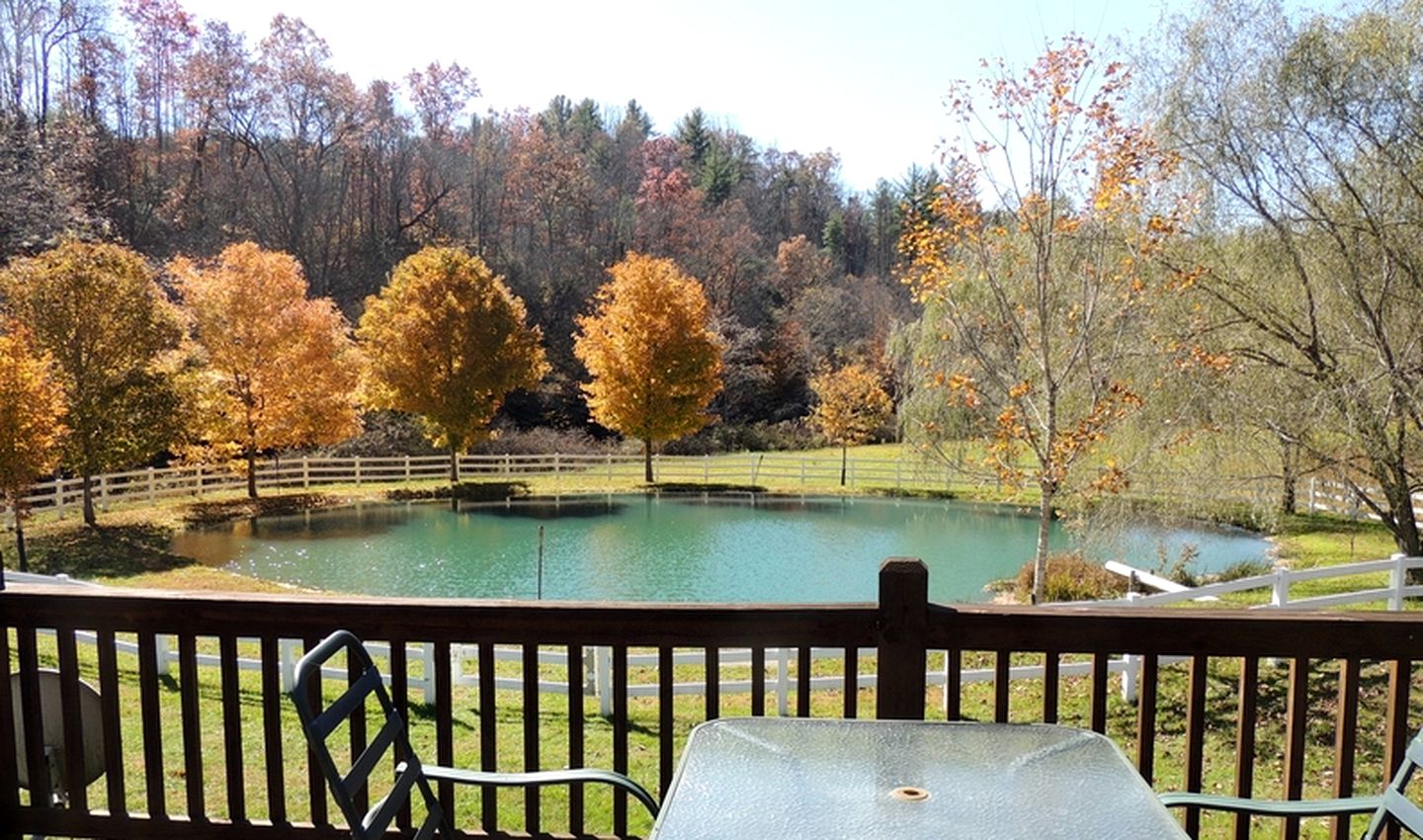 Secluded Cottage Getaway on an Authentic Horse Farm near Hillsville, Virginia