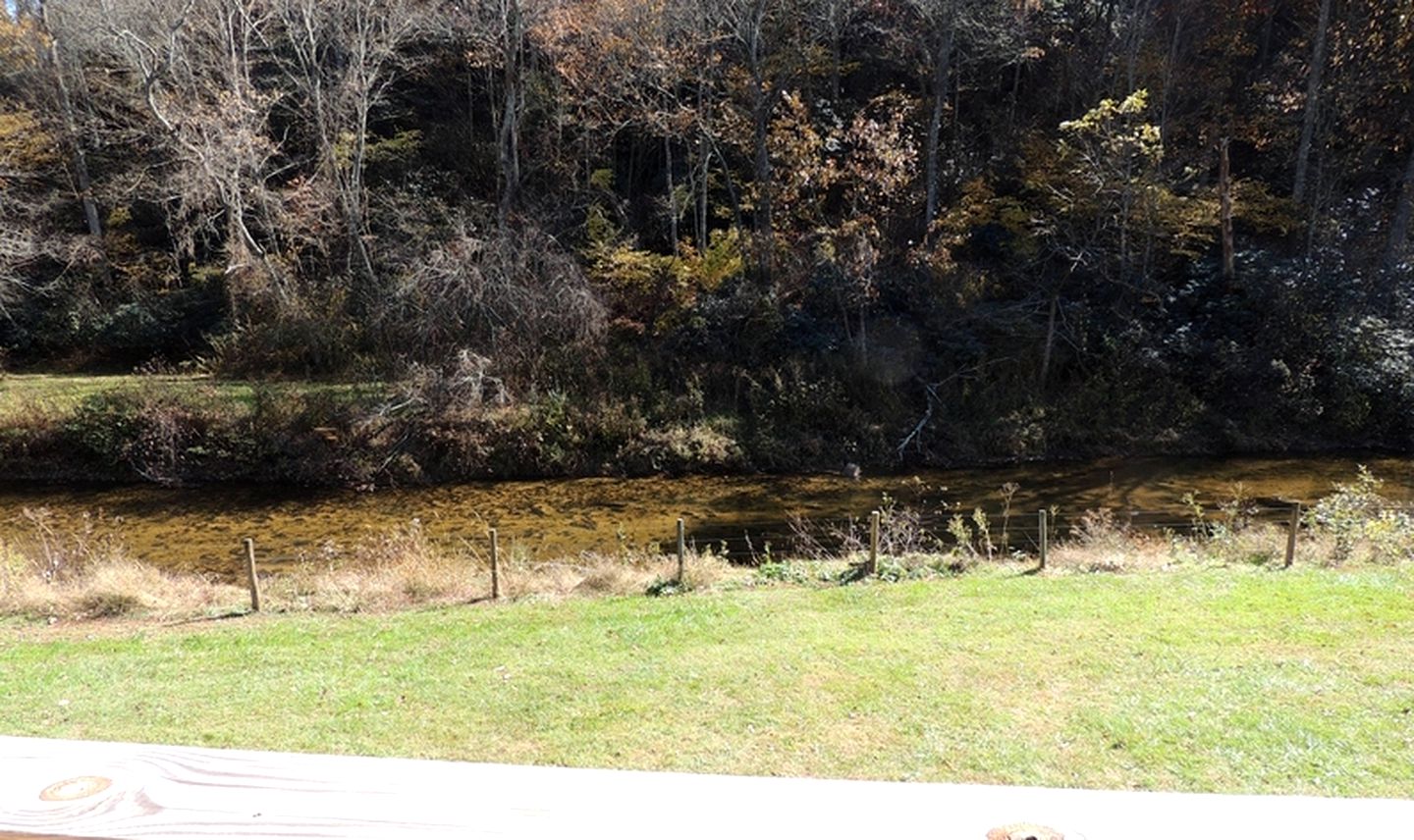 Secluded Cottage Getaway on an Authentic Horse Farm near Hillsville, Virginia