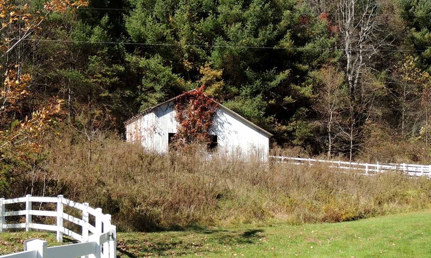 Secluded Cottage Getaway on an Authentic Horse Farm near Hillsville, Virginia