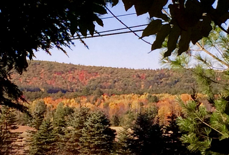 Nature Lodges (Swanzey, New Hampshire, United States)