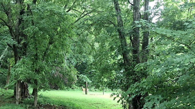 Vacation Rentals (United States of America, Sparta, Tennessee)