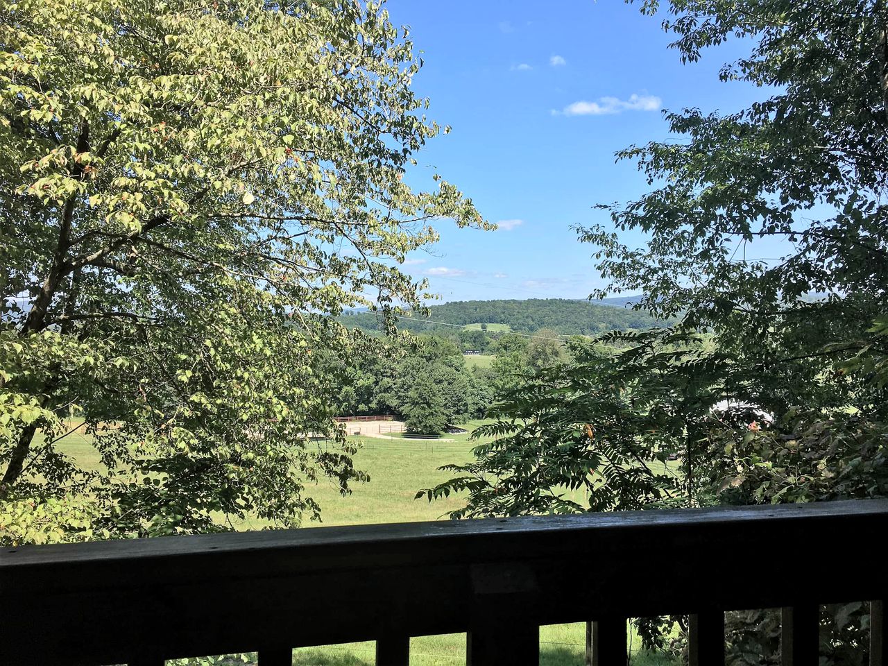 Sparta's Hidden Gem: Unique Views Cabin for an Intimate Escape