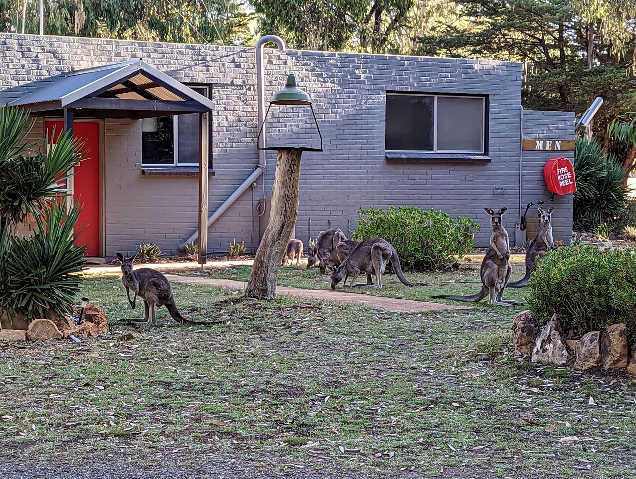 Cozy Tiny House Rental in Australia: Book Your Stay near Grampians National Park, Victoria