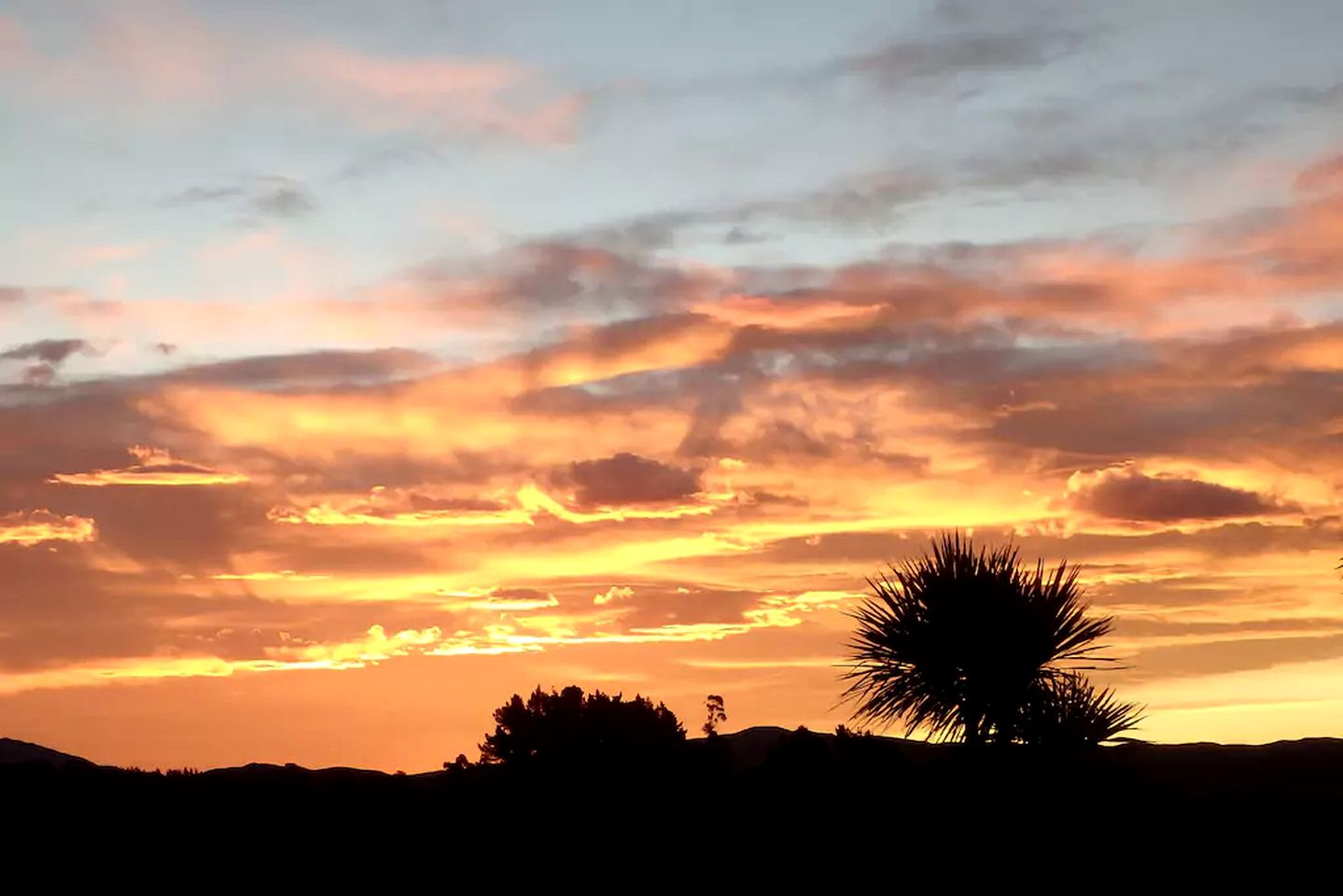 Luxurious Bed and Breakfast Accommodation with Fantastic Views in Cheviot, South Island