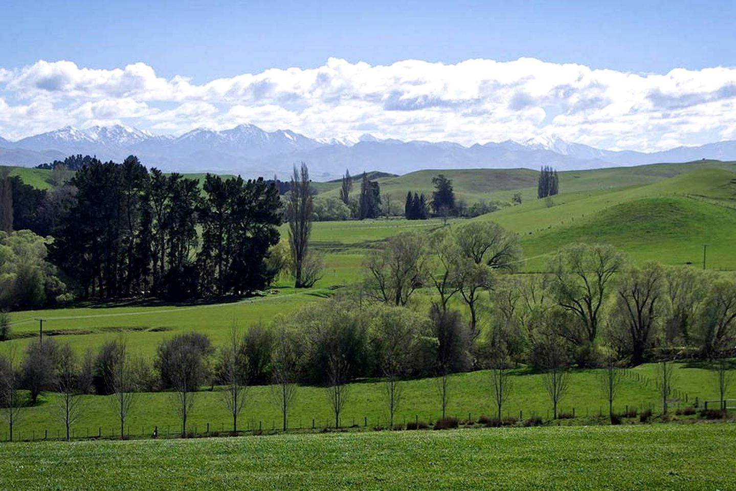 Luxurious Bed and Breakfast Accommodation with Fantastic Views in Cheviot, South Island