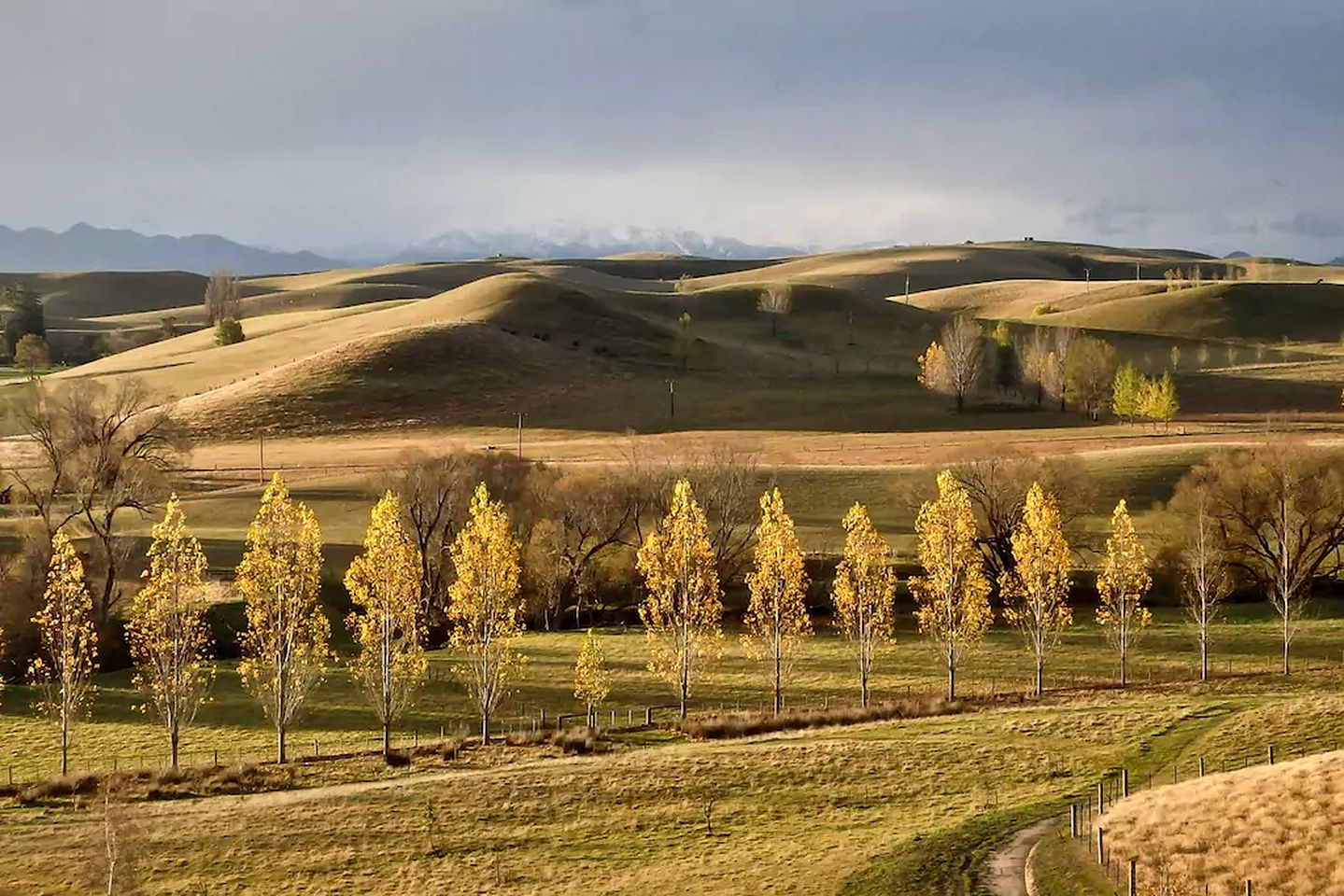 Luxurious Bed and Breakfast Accommodation with Fantastic Views in Cheviot, South Island