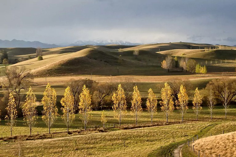 Nature Lodges (Cheviot, South Island, New Zealand)