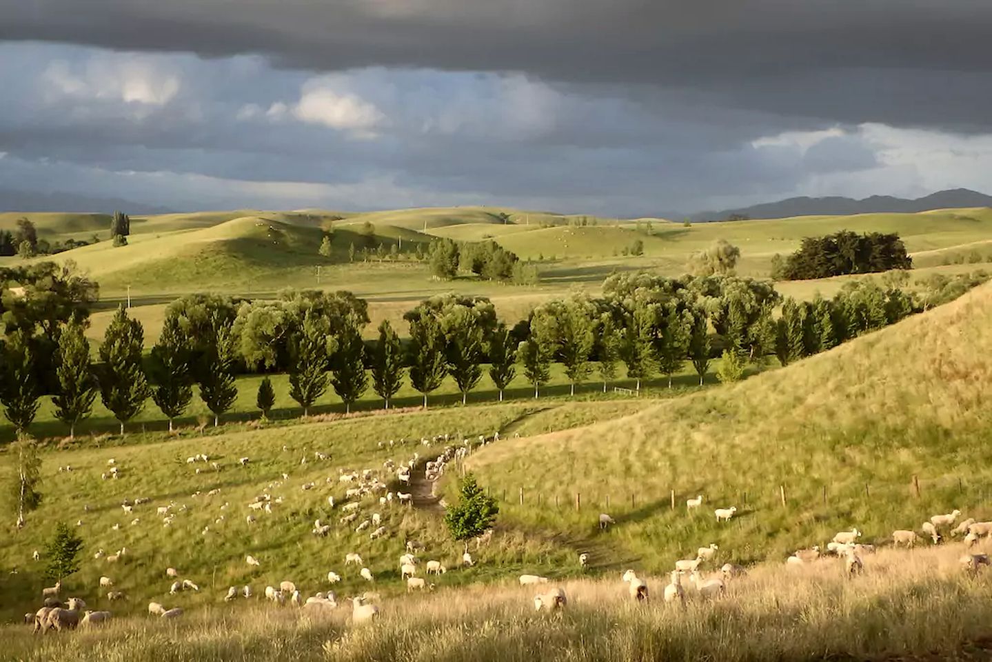 Luxurious Bed and Breakfast Accommodation with Fantastic Views in Cheviot, South Island